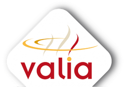 LOGO-VALIA-2020-400w